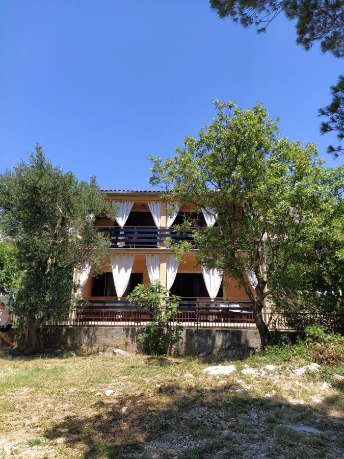 Apartment Savic สตารีกราด-ปาเคลนีซา ภายนอก รูปภาพ