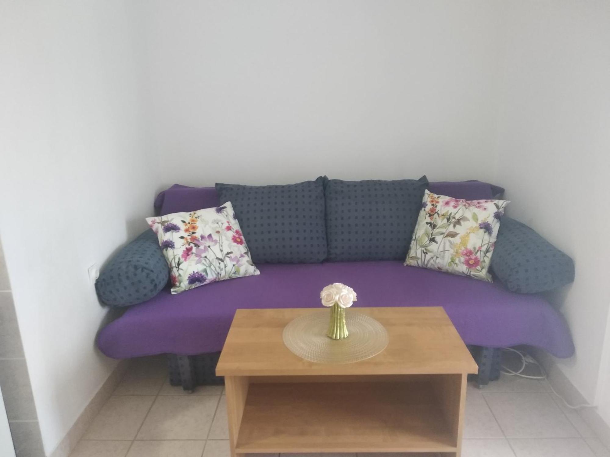 Apartment Savic สตารีกราด-ปาเคลนีซา ภายนอก รูปภาพ