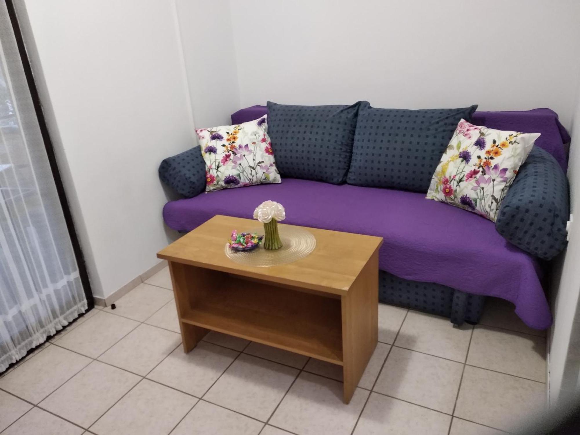 Apartment Savic สตารีกราด-ปาเคลนีซา ภายนอก รูปภาพ