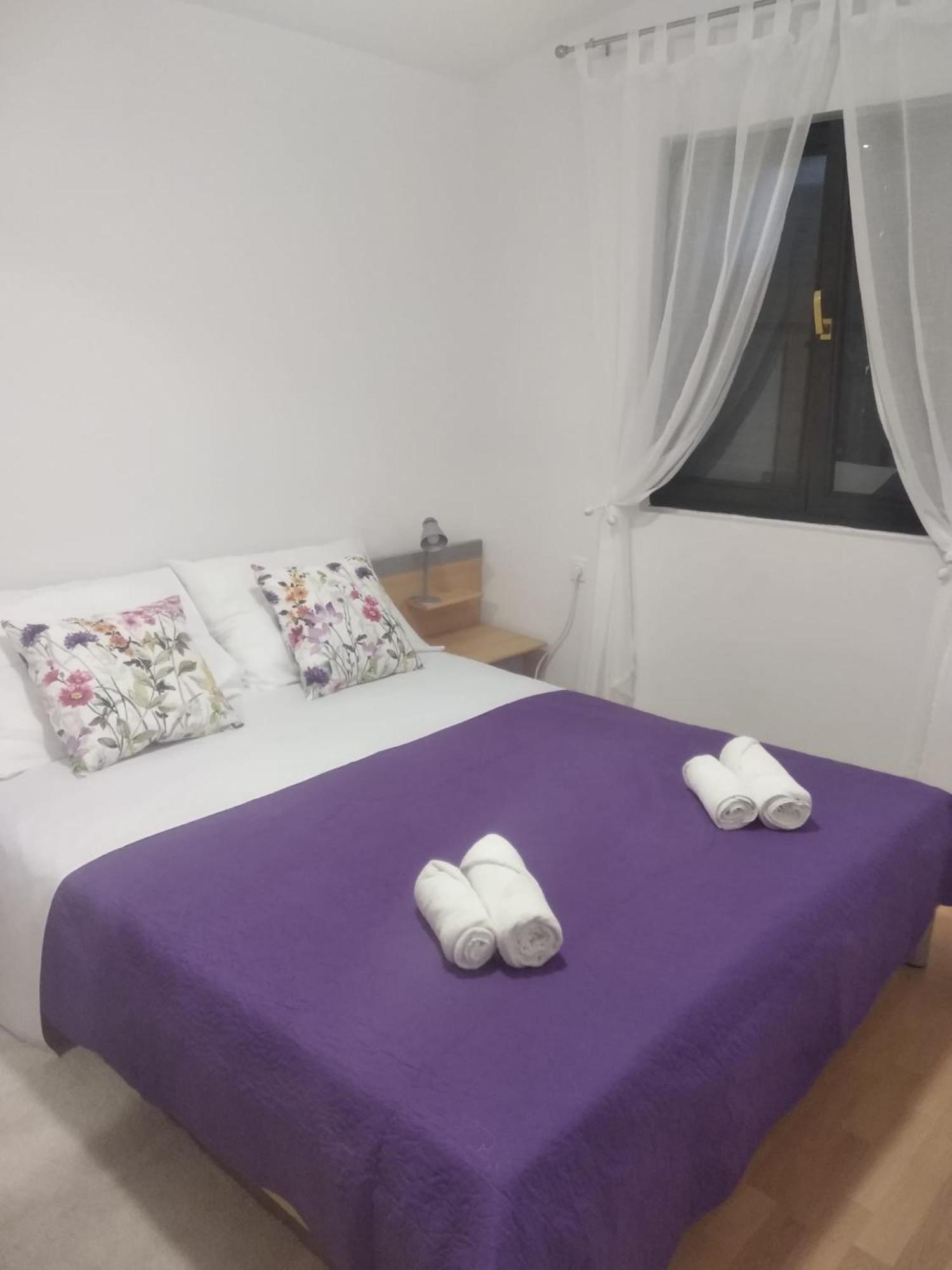 Apartment Savic สตารีกราด-ปาเคลนีซา ภายนอก รูปภาพ