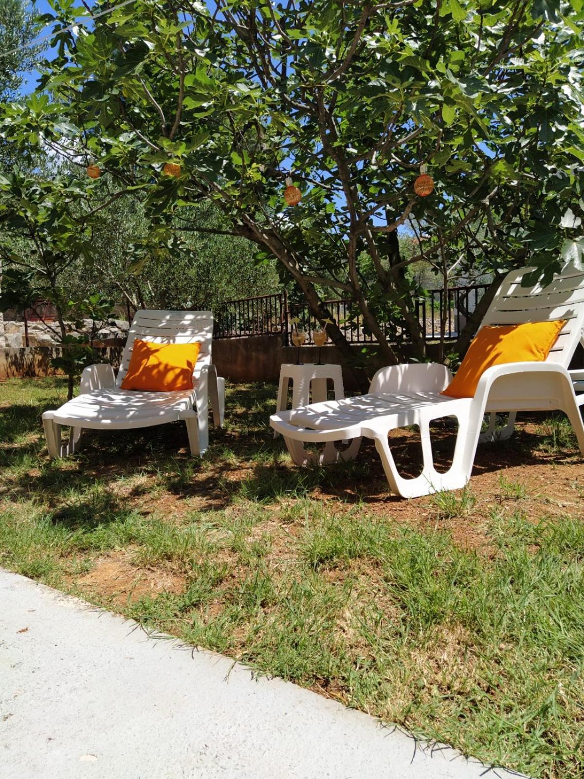 Apartment Savic สตารีกราด-ปาเคลนีซา ภายนอก รูปภาพ