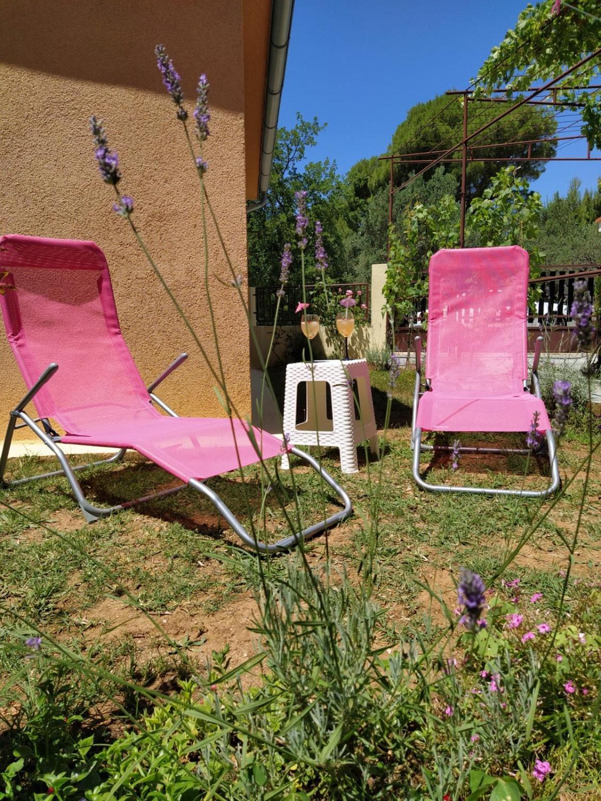 Apartment Savic สตารีกราด-ปาเคลนีซา ภายนอก รูปภาพ