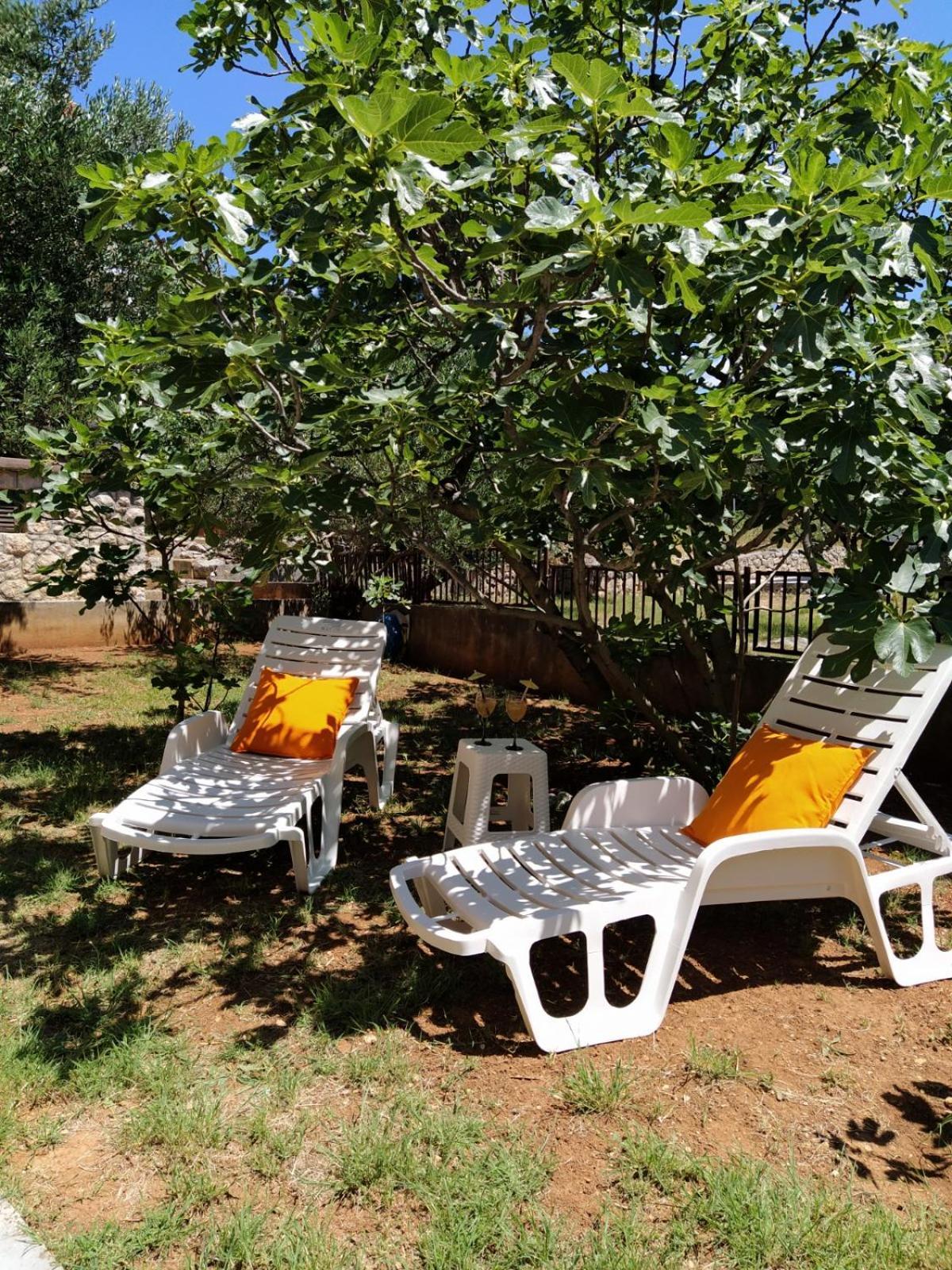 Apartment Savic สตารีกราด-ปาเคลนีซา ภายนอก รูปภาพ
